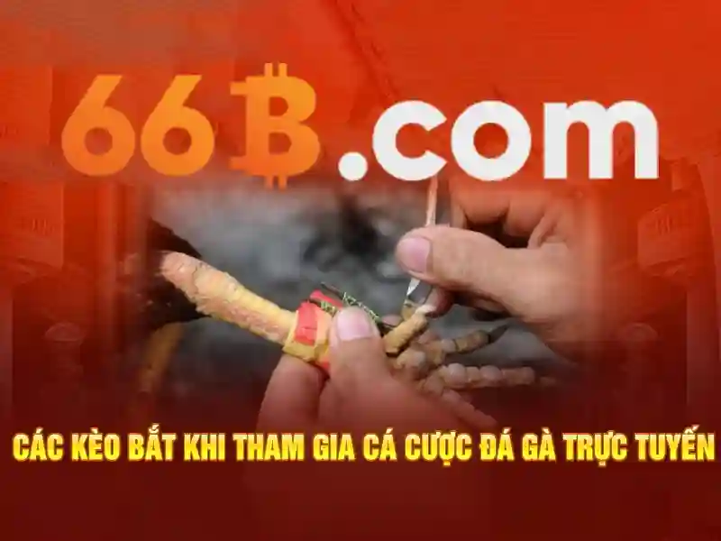 Định nghĩa và kích thước