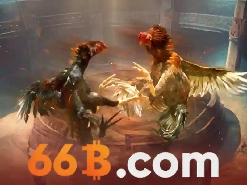 66b: Khái niệm, kiến trúc và triển vọng