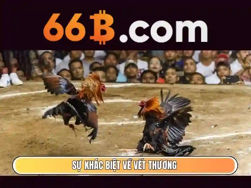 Khái niệm về 66B