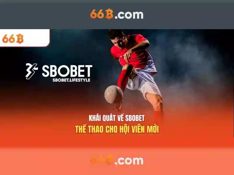 Kiến trúc và tham số