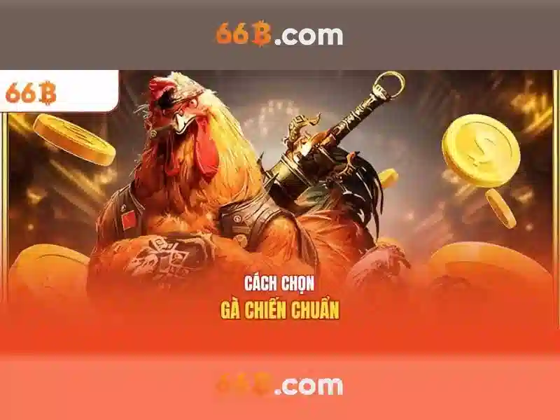 Ứng dụng tiềm năng của 66b trong thực tế