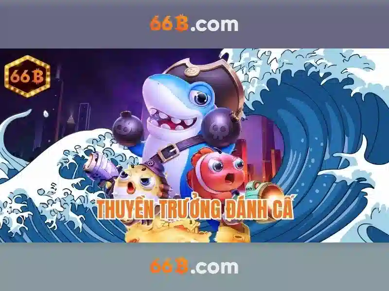 66B là gì?