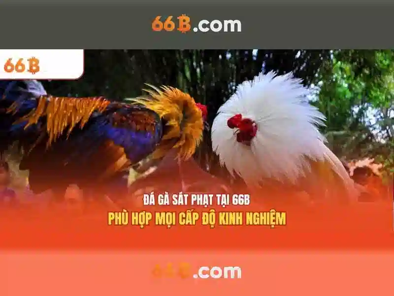 66B: mô hình ngôn ngữ 66 tỷ tham số và tương lai của AI