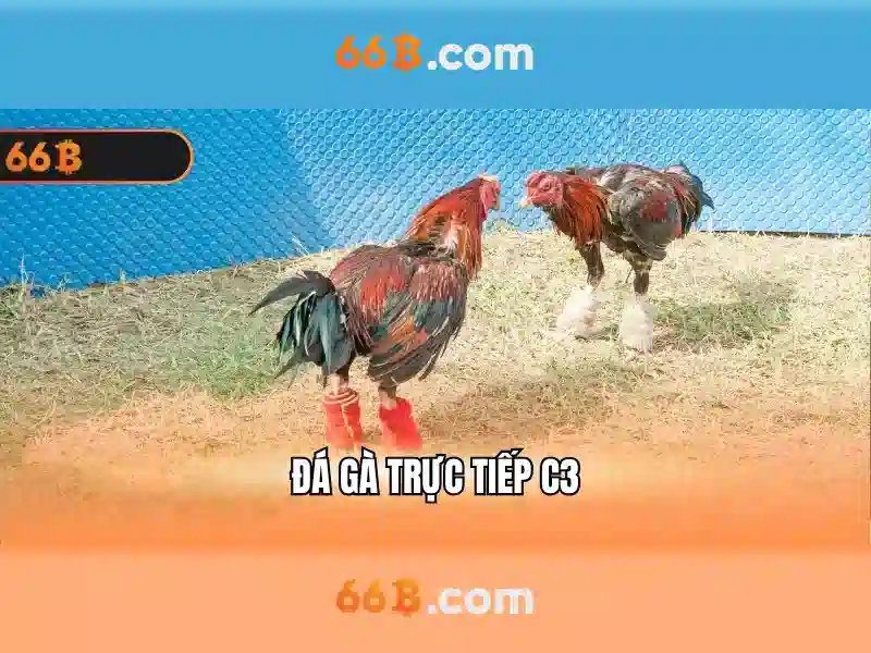 Khám phá mô hình ngôn ngữ 66B