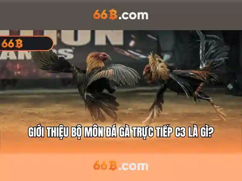 66b: Mo hinh ngon ngu 66 ty tham so va nhung dieu can biet