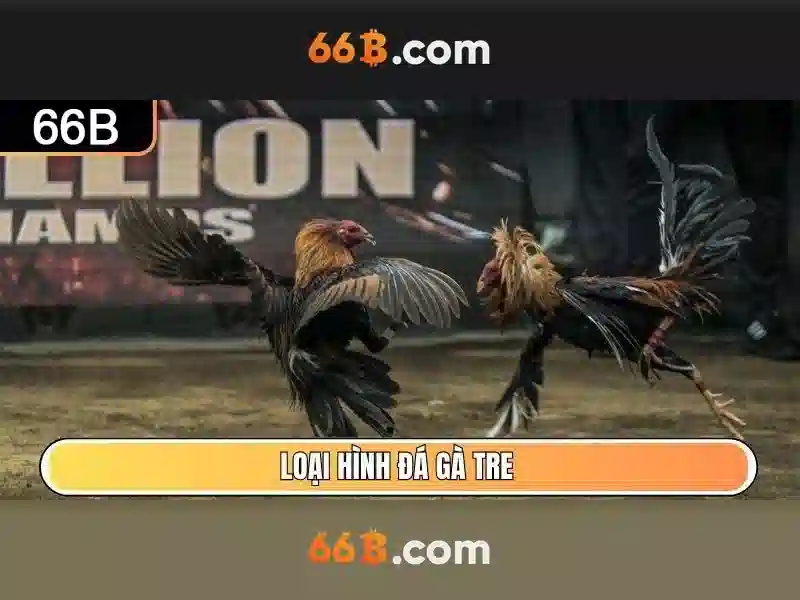 Đánh giá chi phí và triển khai