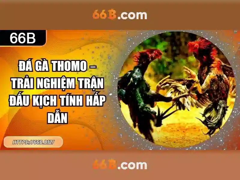 66b: Nguồn gốc và ý nghĩa 