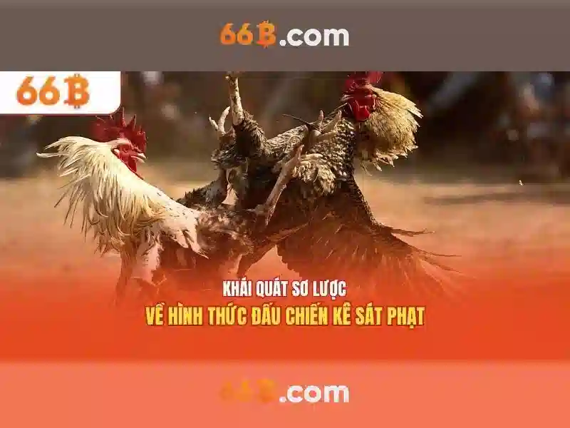66b và hành trình khám phá ký hiệu phi thường