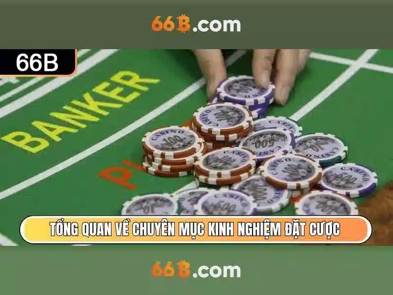 Phân tích tác động và ứng dụng