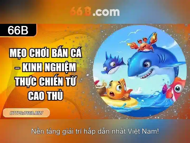 Khái niệm của 66B