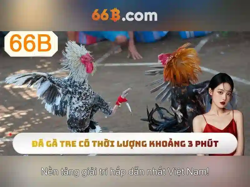 66b là gì và tác động của nó trong thế giới hiện đại