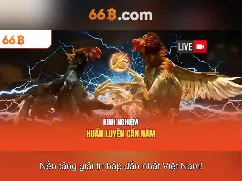 Ứng dụng phổ biến của 66b
