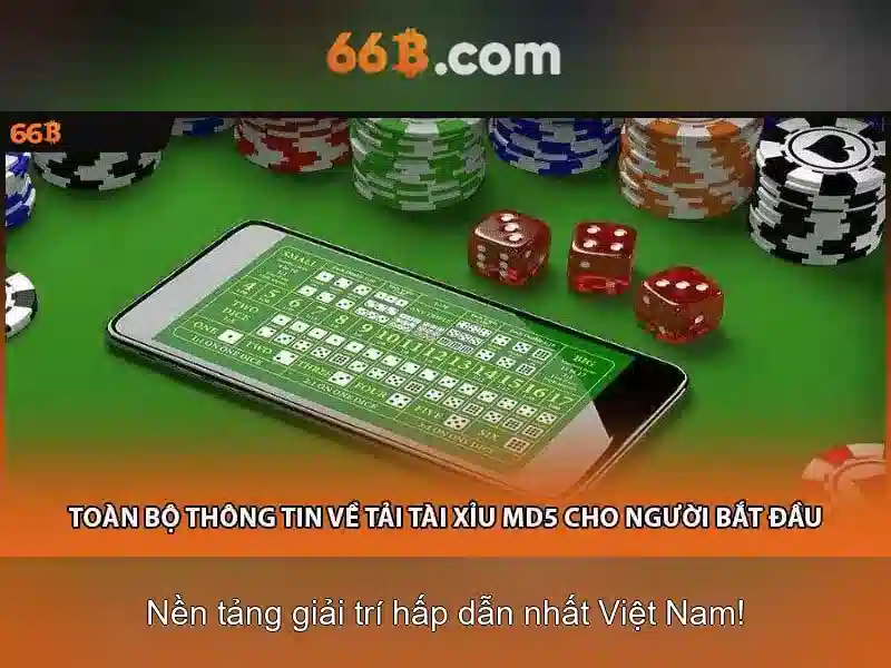 Mô hình 66b: tổng quan và ứng dụng