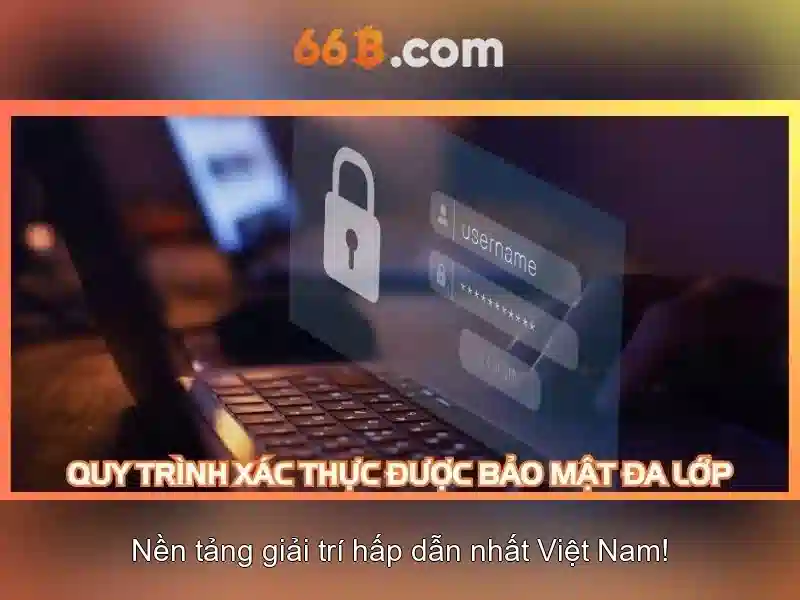 66b là gì
