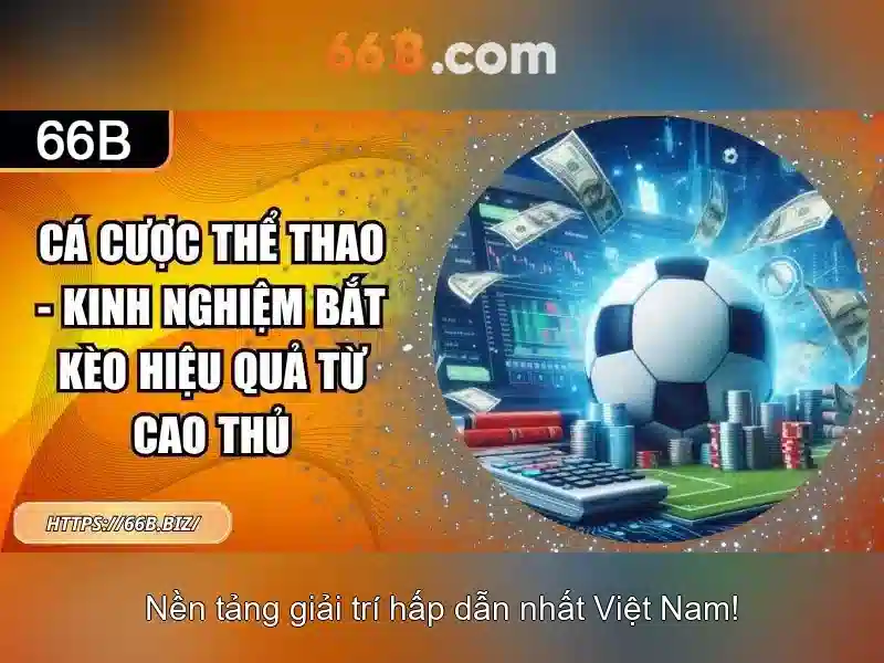 Khám phá khả năng của 66b