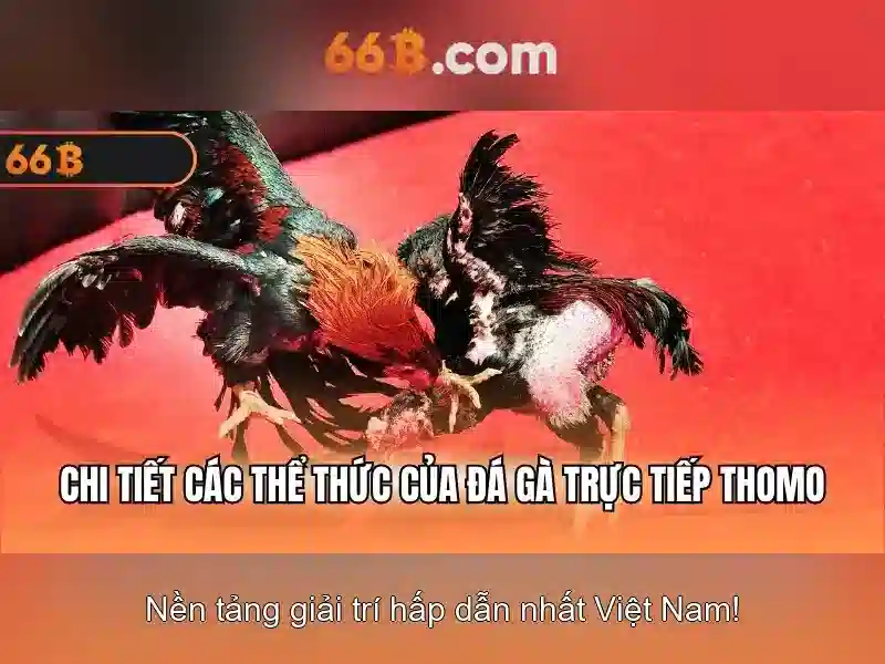 66B: một mô hình ngôn ngữ lớn có 66 tỷ tham số
