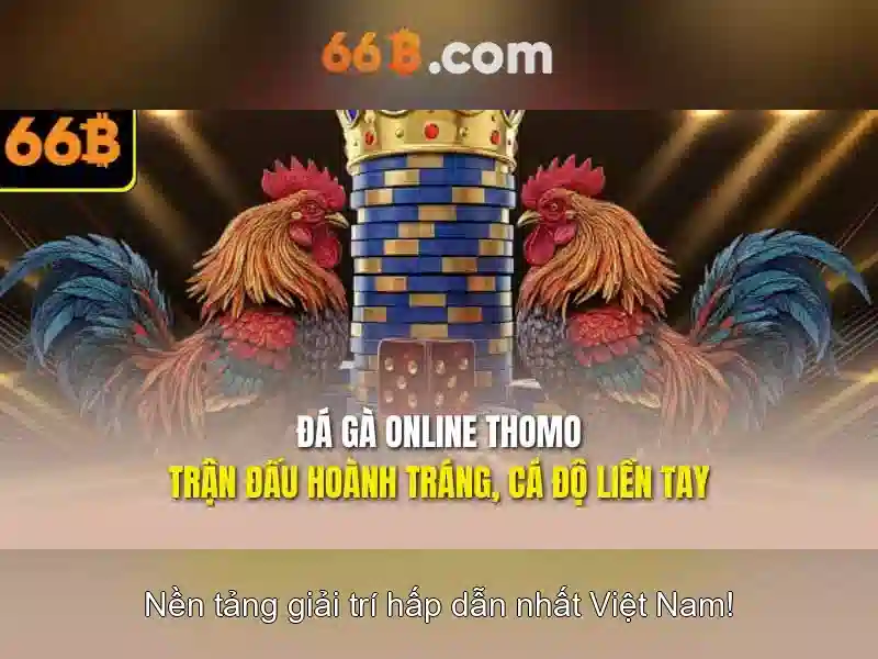 Tối ưu hóa và an toàn