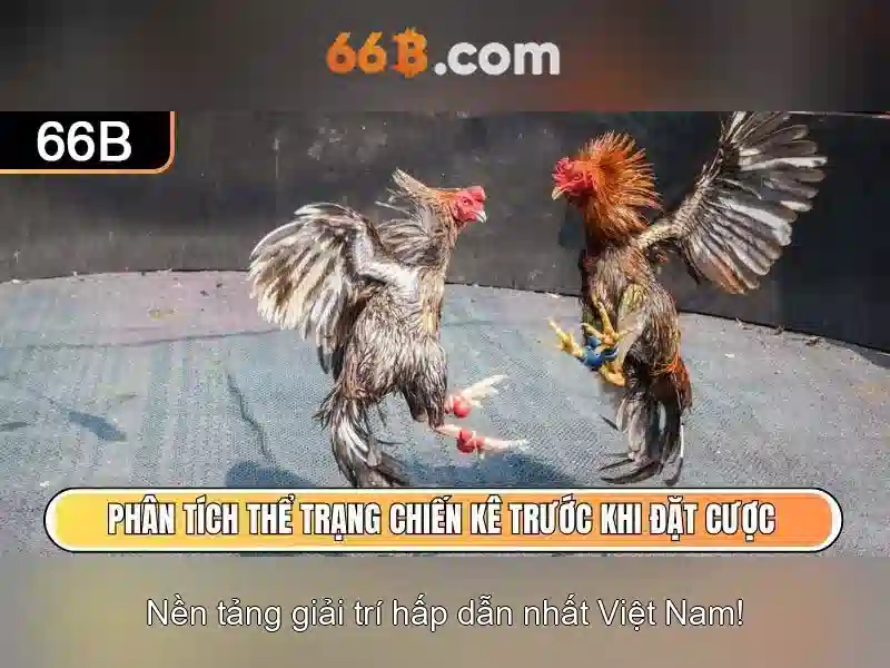 Kiến trúc và chi tiết kỹ thuật của 66B