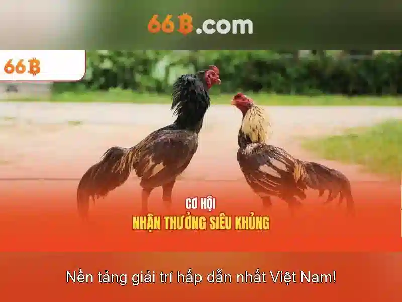 Khái quát về 66B