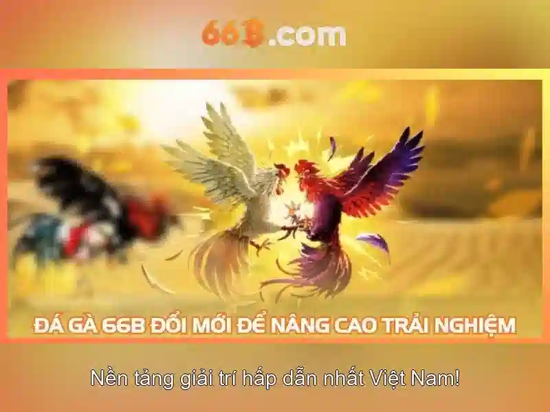 Kiến trúc và tham số