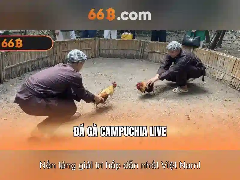 66b: một mô hình ngôn ngữ 66 tỷ tham số và tiềm năng