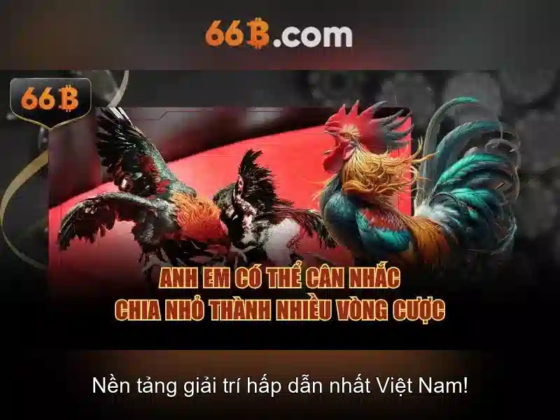 Nguồn gốc và ý nghĩa của 66B