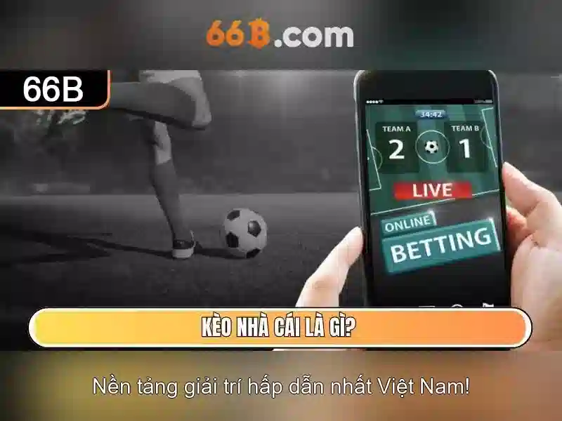 66b: Nguồn gốc, ý nghĩa và ứng dụng