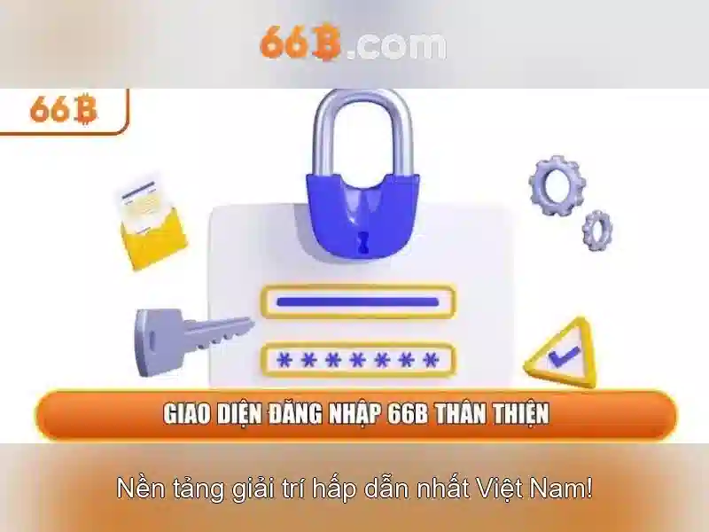 '66B là gì?'