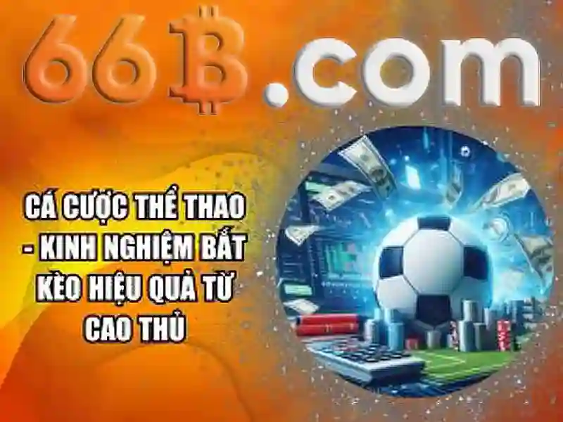 Biểu đồ RTP và biến động thị trường