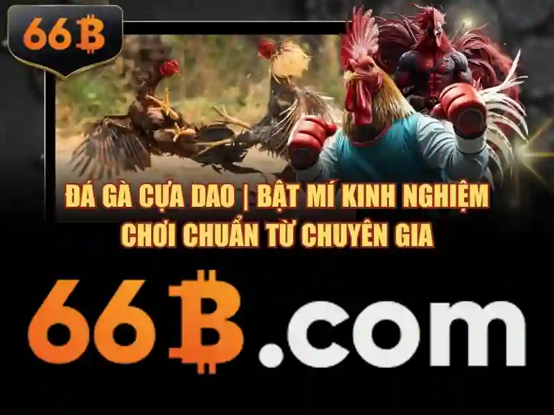Biểu đồ thống kê loto