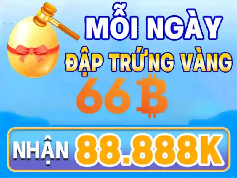 Giới thiệu về 66B
