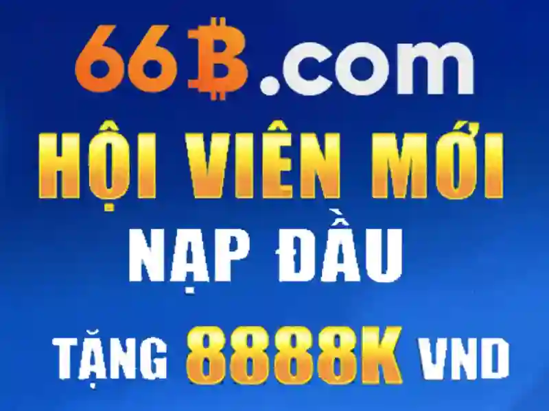 66B là gì?