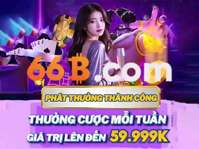 66b: một khái niệm, mã số và sự ảnh hưởng của nó